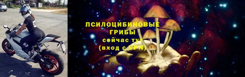 Галлюциногенные грибы Psilocybine cubensis  omg ONION  даркнет телеграм  Талдом 